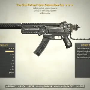 Screenshot of a Fallout 76 item for PC & Steam players, showing the stats.