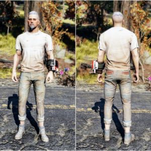 Screenshot of a Fallout 76 item for PC & Steam players, showing the stats.