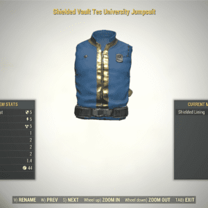 Screenshot of a Fallout 76 item for PC & Steam players, showing the stats.