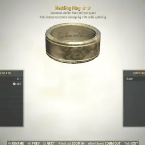 Screenshot of a Fallout 76 item for PC & Steam players, showing the stats.