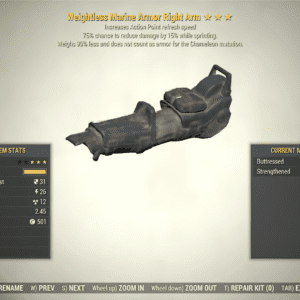 Screenshot of a Fallout 76 item for PC & Steam players, showing the stats.