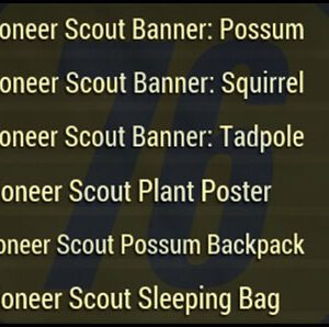 Screenshot of a Fallout 76 item for PC & Steam players, showing the stats.