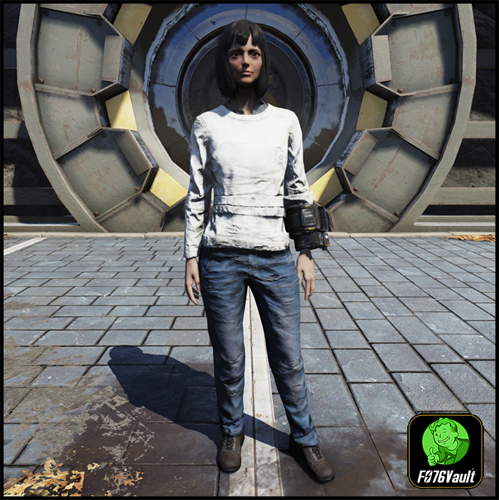 Clean Straight Jacket Fallout 76 (PC Only) Screenshot of a Fallout 76 item for PC & Steam players, showing the stats.