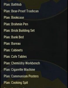 Screenshot of a Fallout 76 item for PC & Steam players, showing the stats.