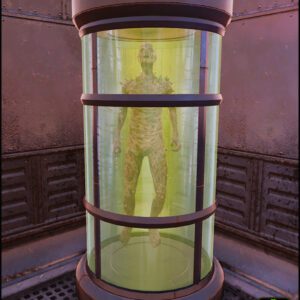 Screenshot of a Fallout 76 item for PC & Steam players, showing the stats.