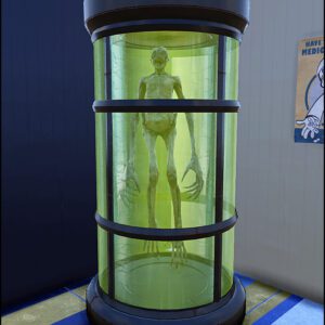 Screenshot of a Fallout 76 item for PC & Steam players, showing the stats.